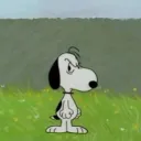 centersy