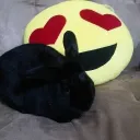 pumbamylove