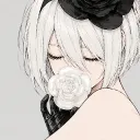 kiscotmk