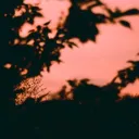 deadly_8177