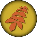 autumnfallstudios