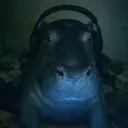 nezexez