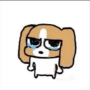 avatar Hoang Luc Han