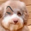 wumbojoe