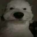 txns