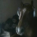 Benjamin Johnson's Avatar