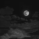 sallomy_