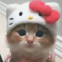 roooksasjiu