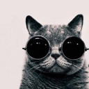 arturdent77's Avatar