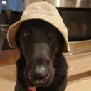leeroy_10