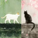 nyomko