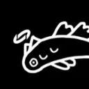 nyomko
