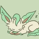 nyomko