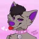 trissiethehusky