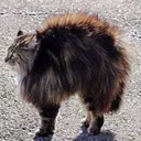 writersblock242