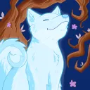 shibo7719