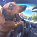 avatar 𝕬𝖓𝖓𝖎