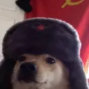 rmisdead avatar
