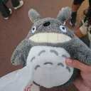 cuahon