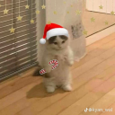 avatar Abdel Pluxury