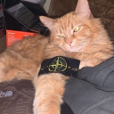 avatar 🔱So十LL🔱