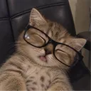 giorgiafps