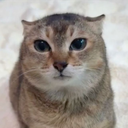 fat_boy3946's Avatar