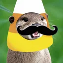aussieotter