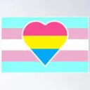 transevie