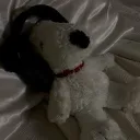 taobeshin