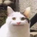deviouslrd