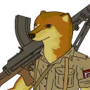 ricosetaslt