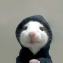 bitbeq_