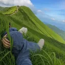 ivish