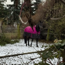 avatar ꨄLadyHelm666ꨄ