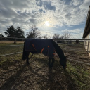 avatar ꨄLadyHelm666ꨄ