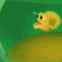 xtremey