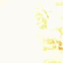 avatar Jose Eduardo Muerte ( Locke )