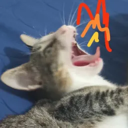 DaRooster's Avatar