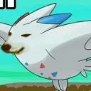 dogestar