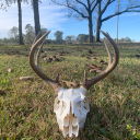 PGOAT22