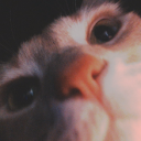 avatar ssource