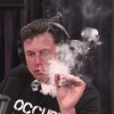 avatar Elon Musk