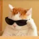 tomkez