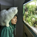 avatar ʂυɠαɾԃҽαɱσɳ