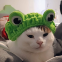 Profile icon of Frog