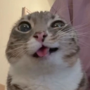 avatar Miauuuuu?