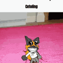 cetozofumee