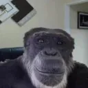 arkyoz