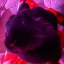snoozedyou